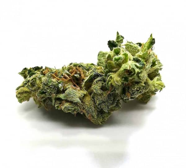 OG Melon Strain Review (Aurora) Cannabis Sensei