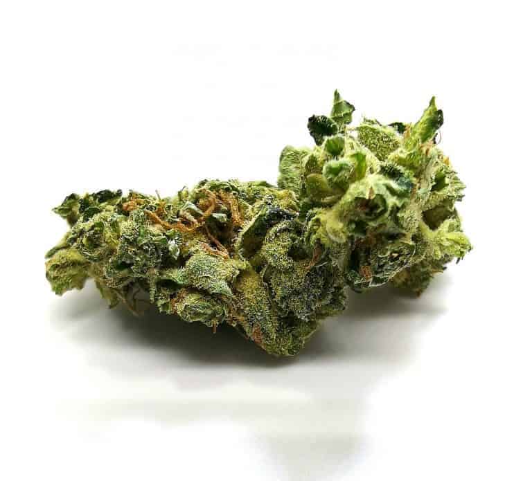 OG Melon Strain Review (Aurora) Cannabis Sensei