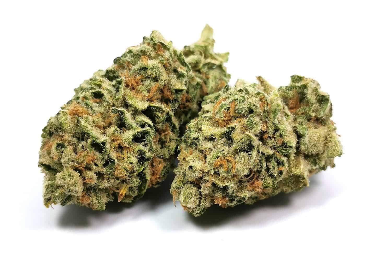 Lemon Garlic OG Strain Review (Robinsons) Cannabis Sensei
