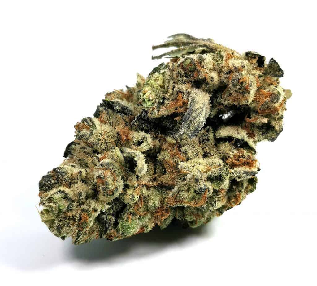 mandarin cookies strain review picture of cannabis