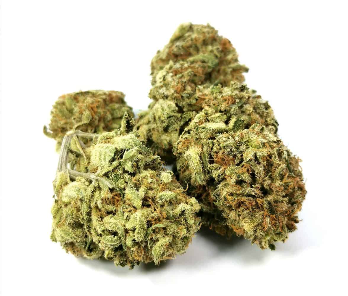 of the Grapes Strain Review (Hearst Organics) Cannabis Sensei