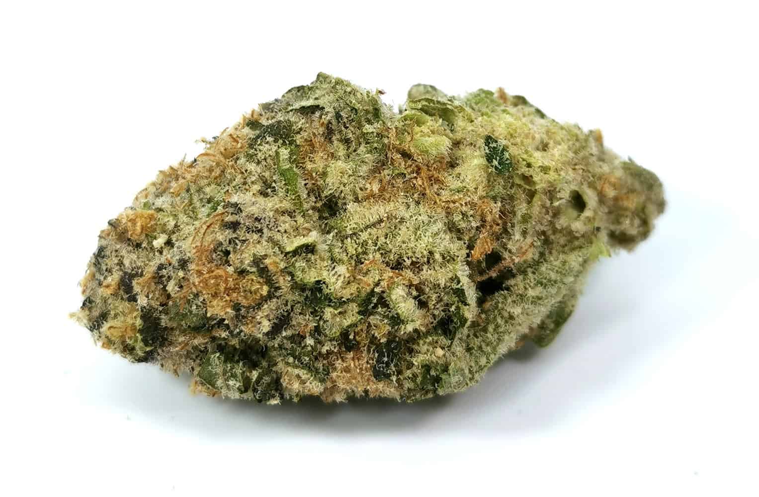 Black Cherry Punch Strain Review (North 40 Cannabis) Cannabis Sensei