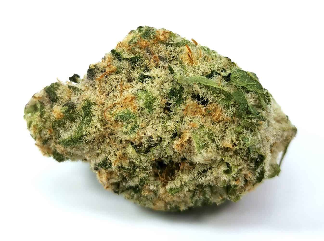 Black Cherry Punch Strain Review (North 40 Cannabis) | Cannabis Sensei