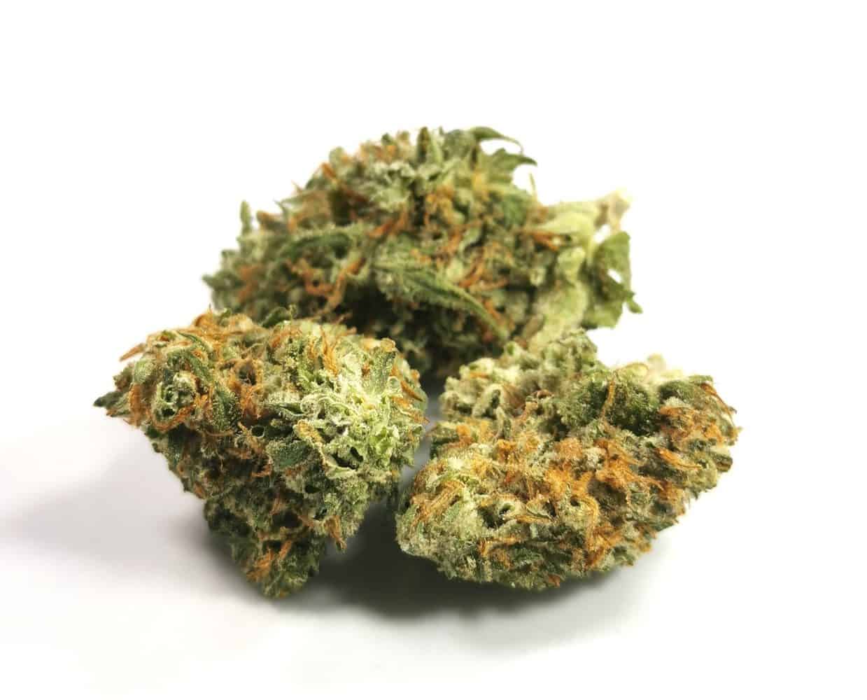 Cuban Linx Strain Review (Tribal) Cannabis Sensei