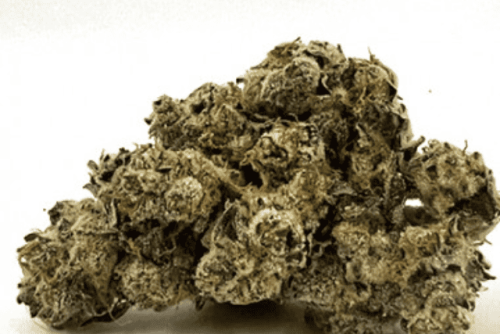 Strawberry N’ Mintz Strain Review (MTL Cannabis) | Cannabis Sensei