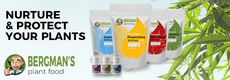 assortment of Bergman's plant food fertilizers from ILGM.com