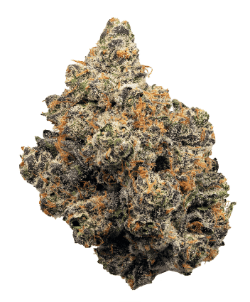 gas monkey - strain