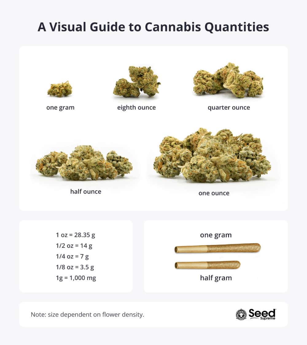 Weed Measurements: Unlock the Language of Cannabis Quantities ...