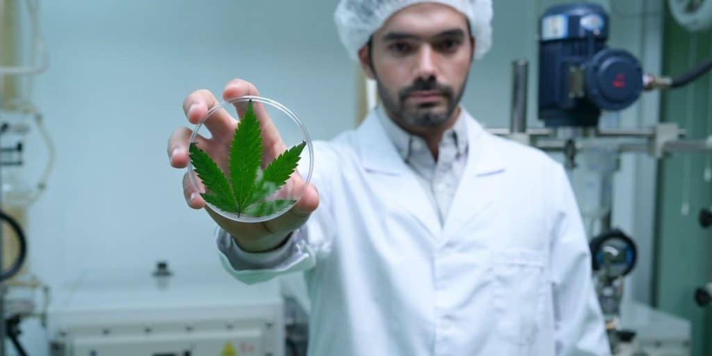 guy in scrubs showing marijuana leaf - featured image