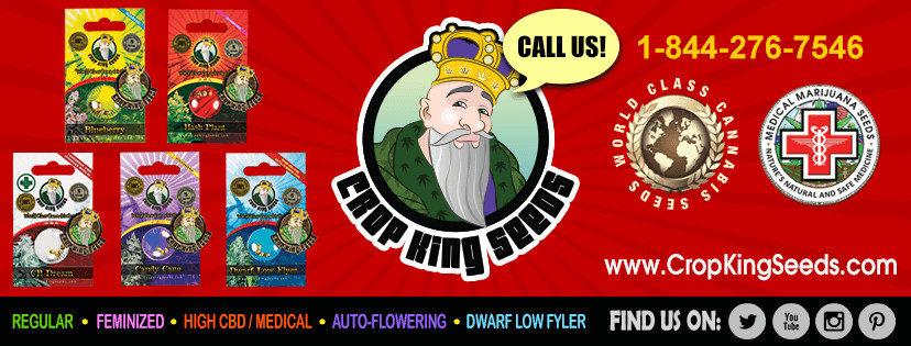 crop king seeds banner