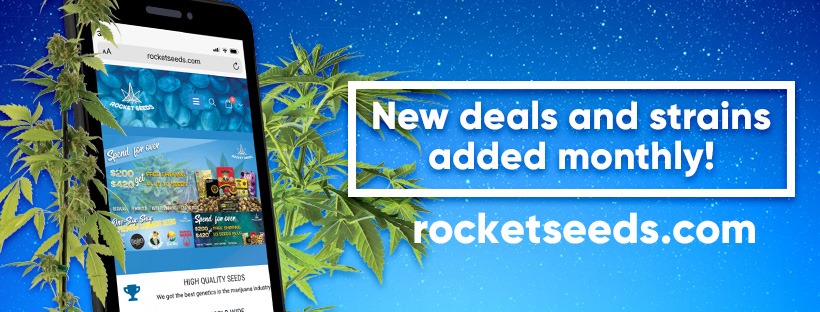 rocket seeds logo