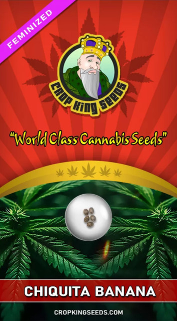 3. Chiquita Banana