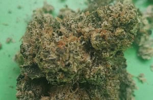 PR OG strain - featured image