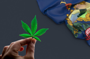 where to buy in VT - featured image