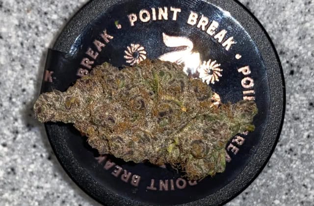 point break strain
