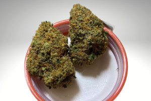 guava