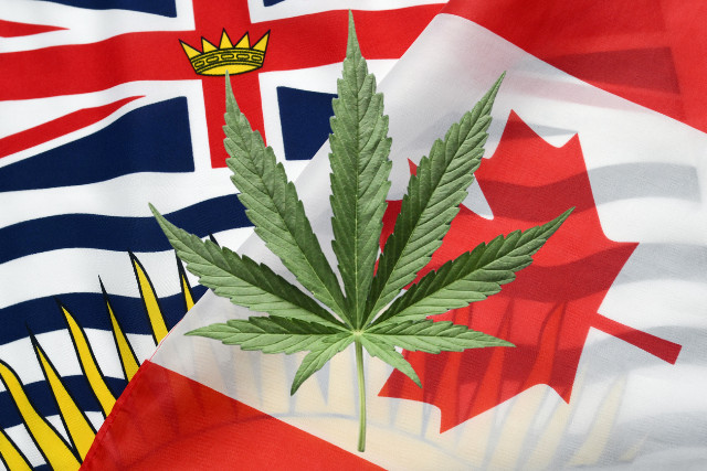 where to buy in bc - featured image