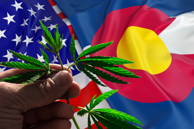 where to buy in Colorado - featured image