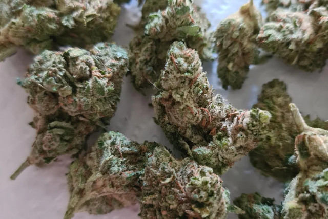 Gorilla Glue - GA