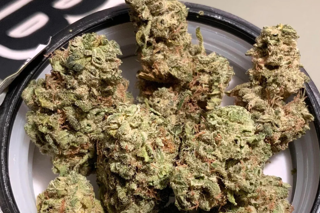 northern lights - WI