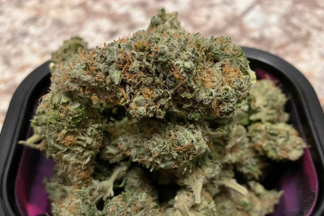 super skunk - PA