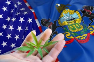 where to buy in PA - featured image
