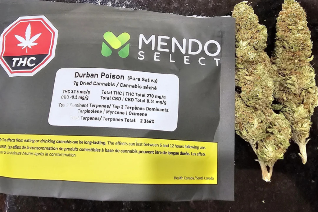 Durban Poison - LA