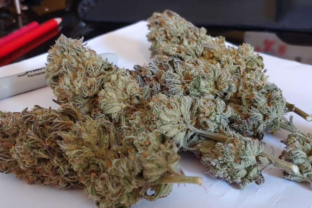 Northern Lights - MT