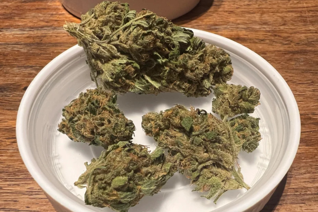 White Widow - MT