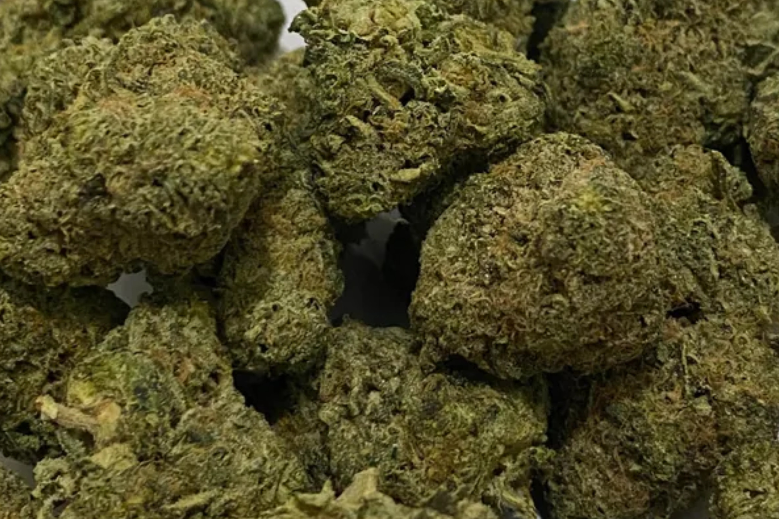 dough lato strain - featured image