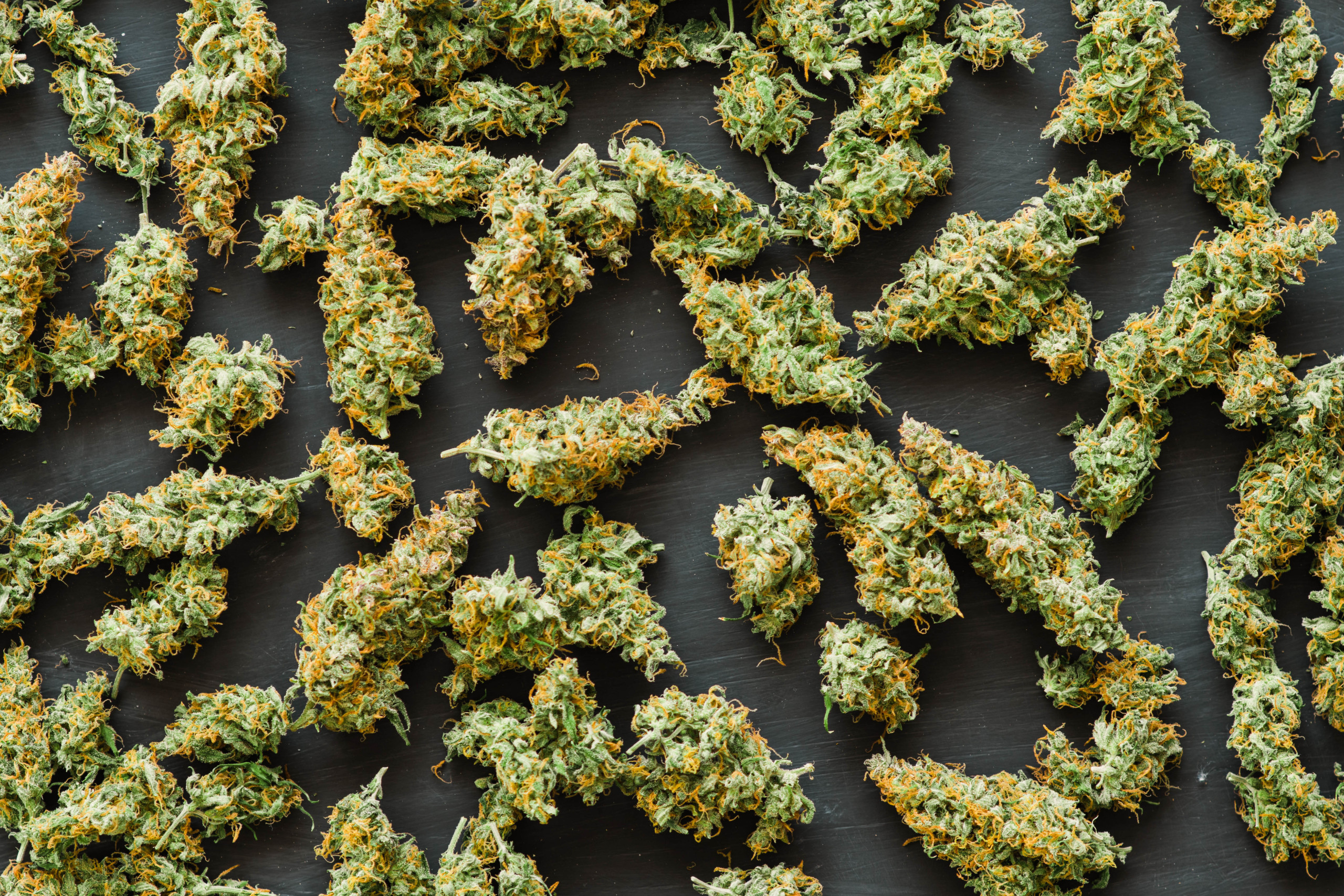 gobbilygoo strain - featured image