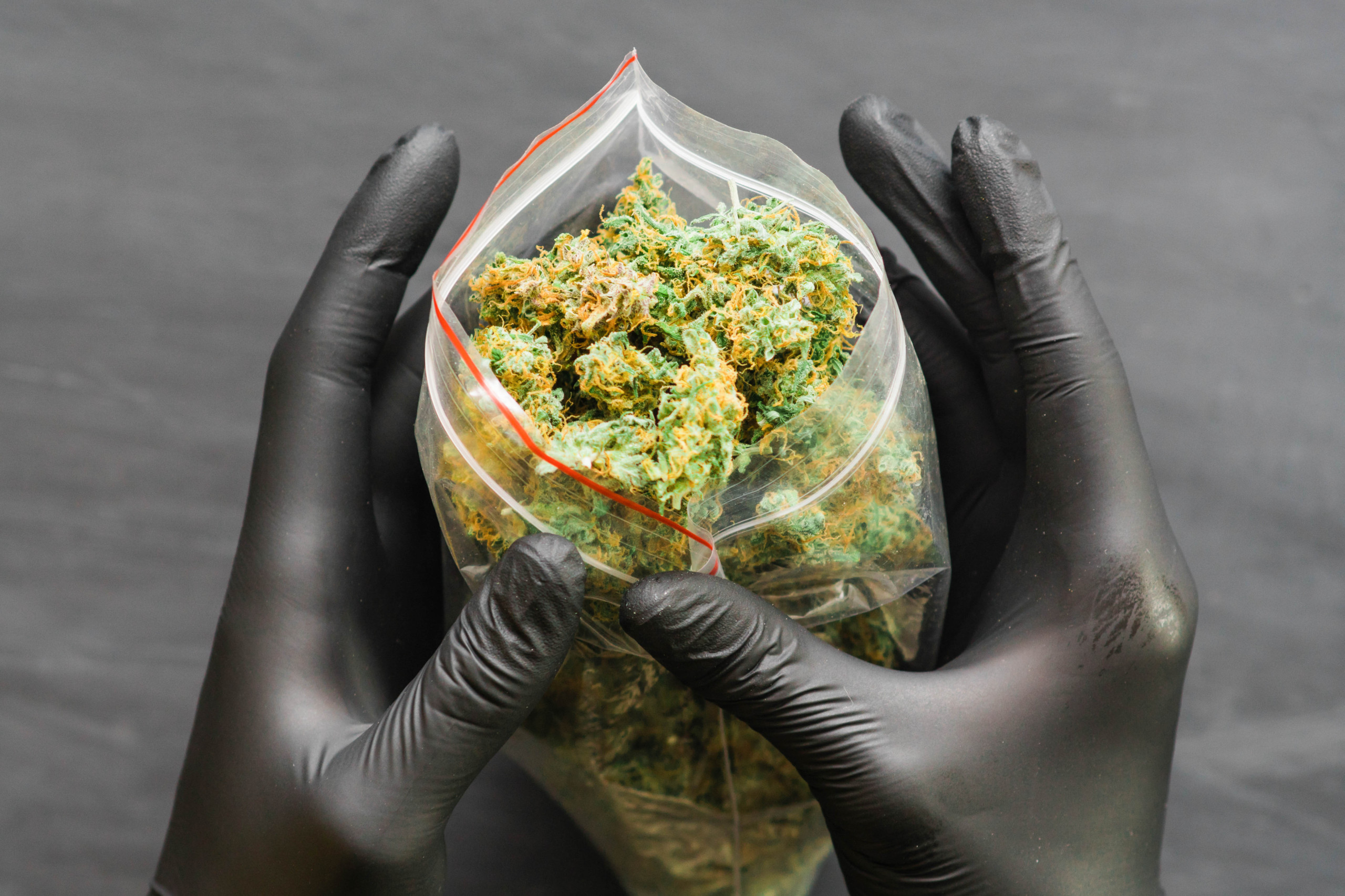 holding a packet of weeds - featured image