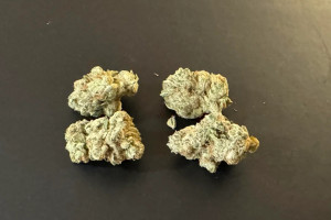 Khalifa Mints - featured image