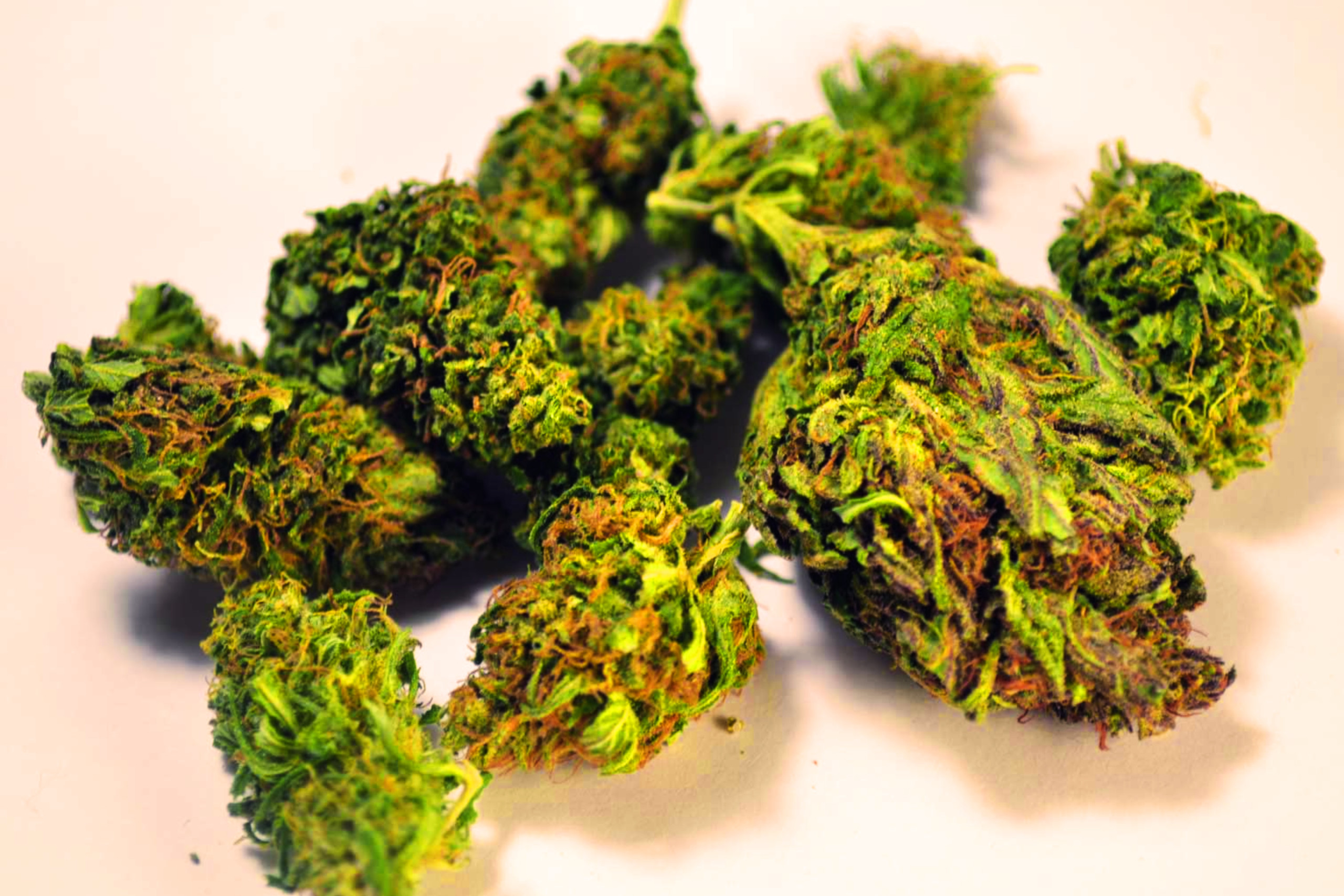 THCA flower - featured image