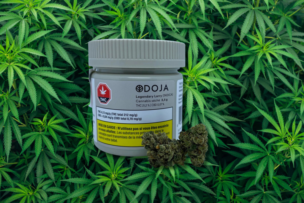 legendary larry strain