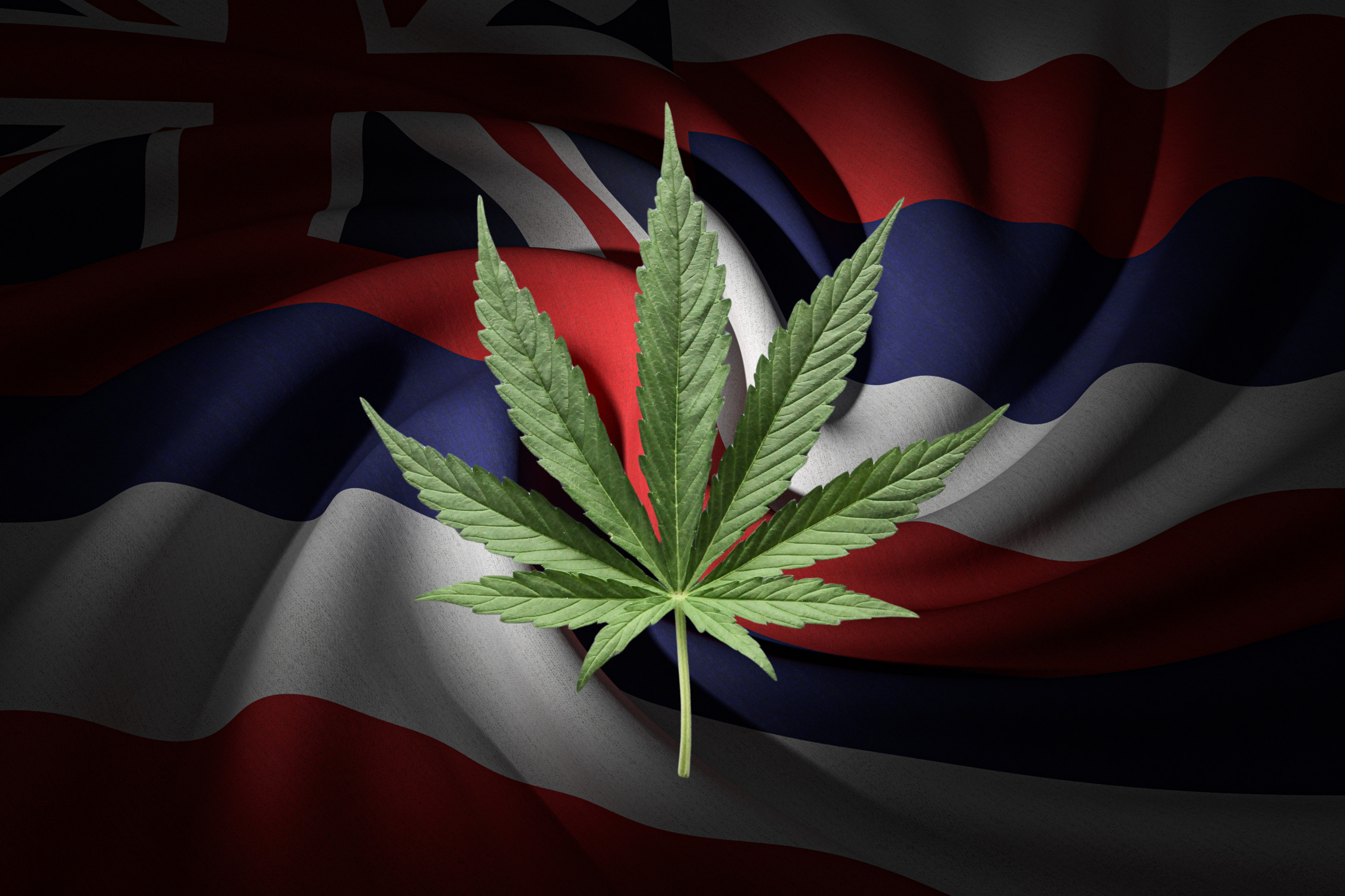 where to buy in Hawaii - featured image