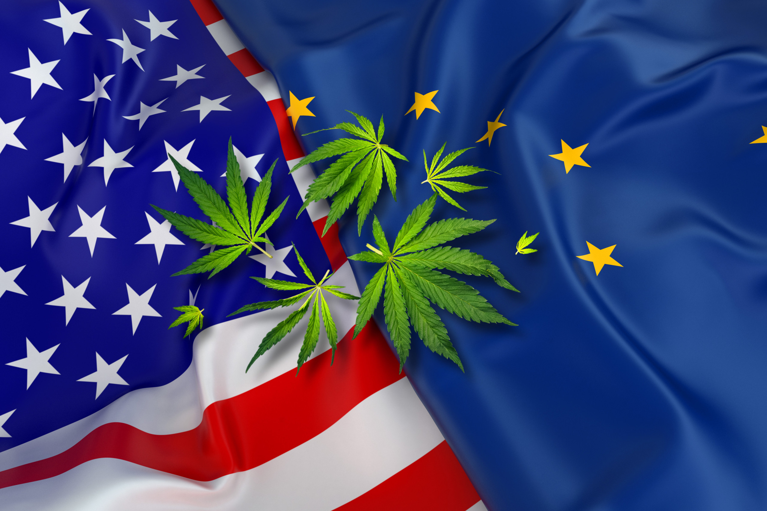 where to buy in AK - featured image