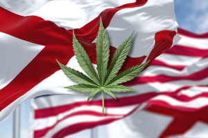 where to buy in Alabama - featured image