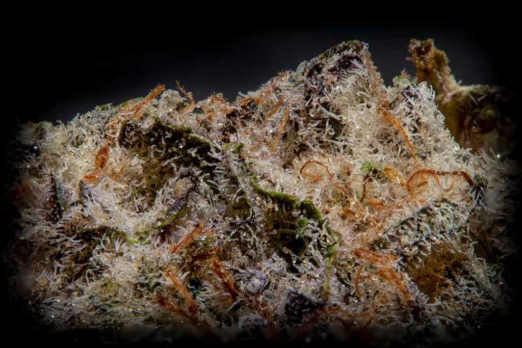 landslide strain close up