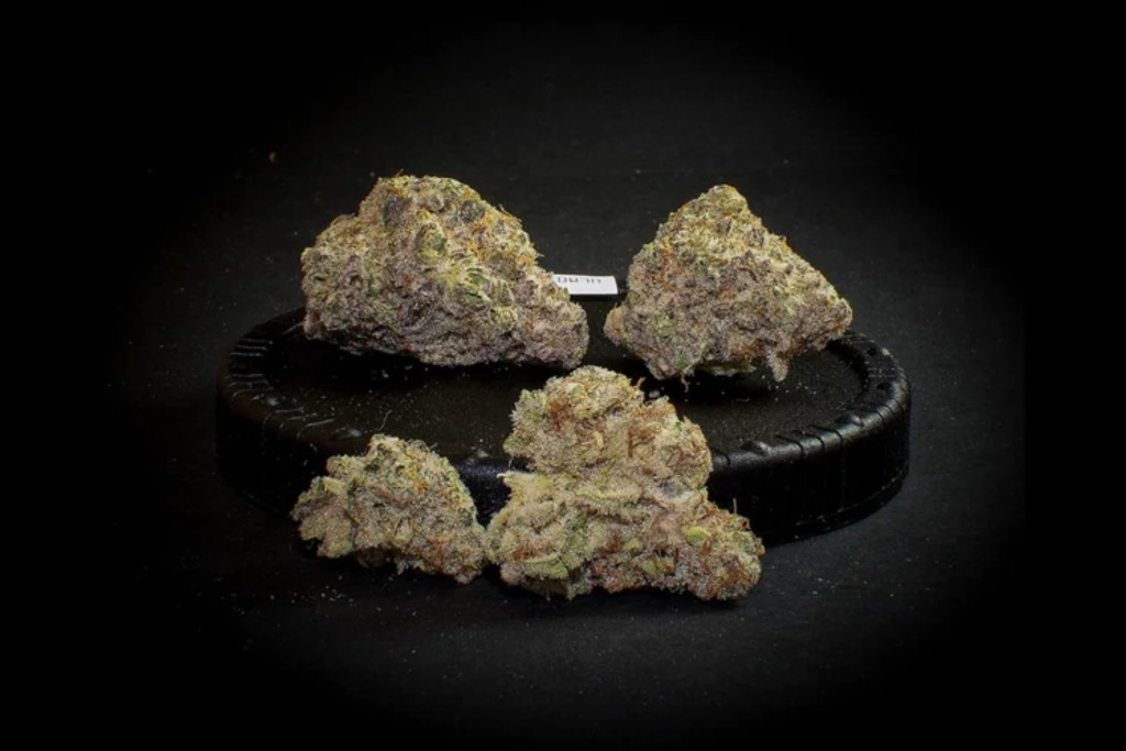 landslide strain - featured image