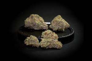 landslide strain - featured image