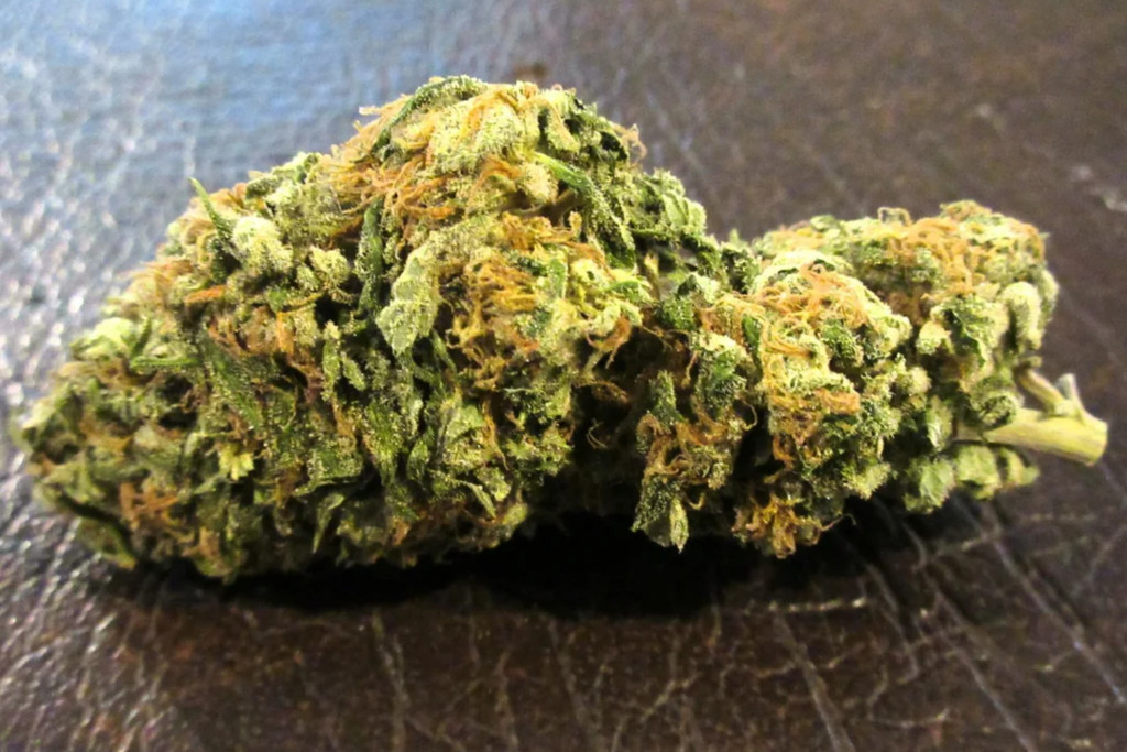 Gorilla Glue - NF