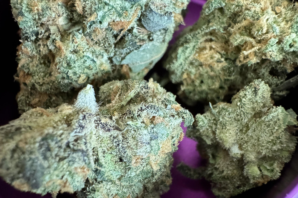 Northern Lights - NF