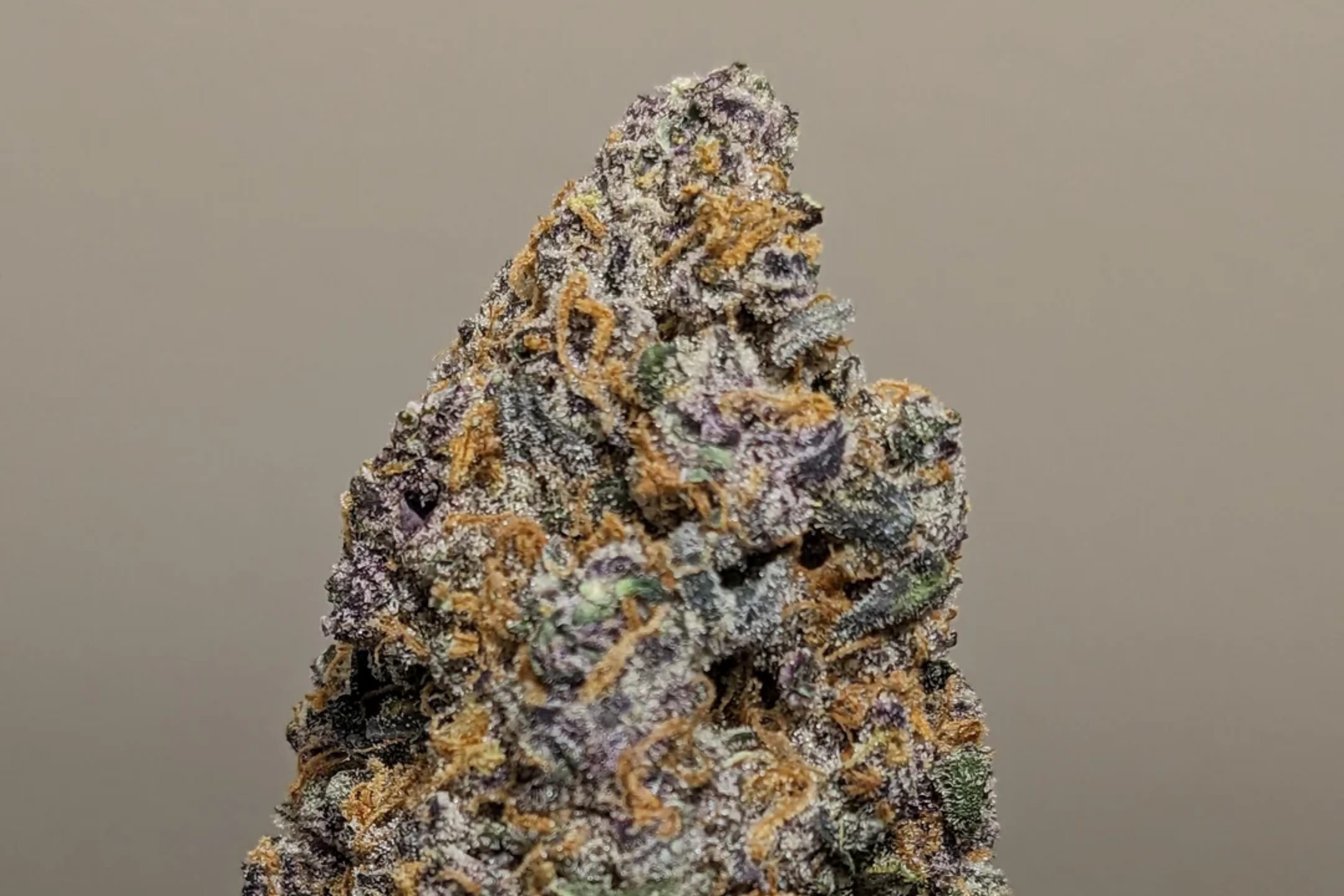 dosi punch - featured image