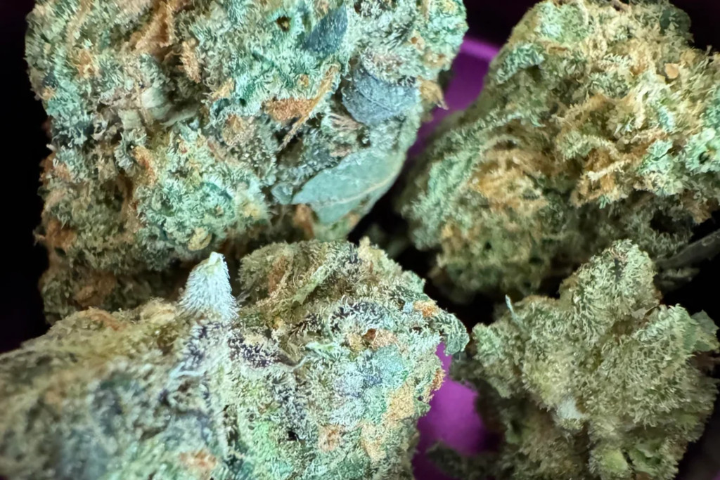 Northern Lights - SK