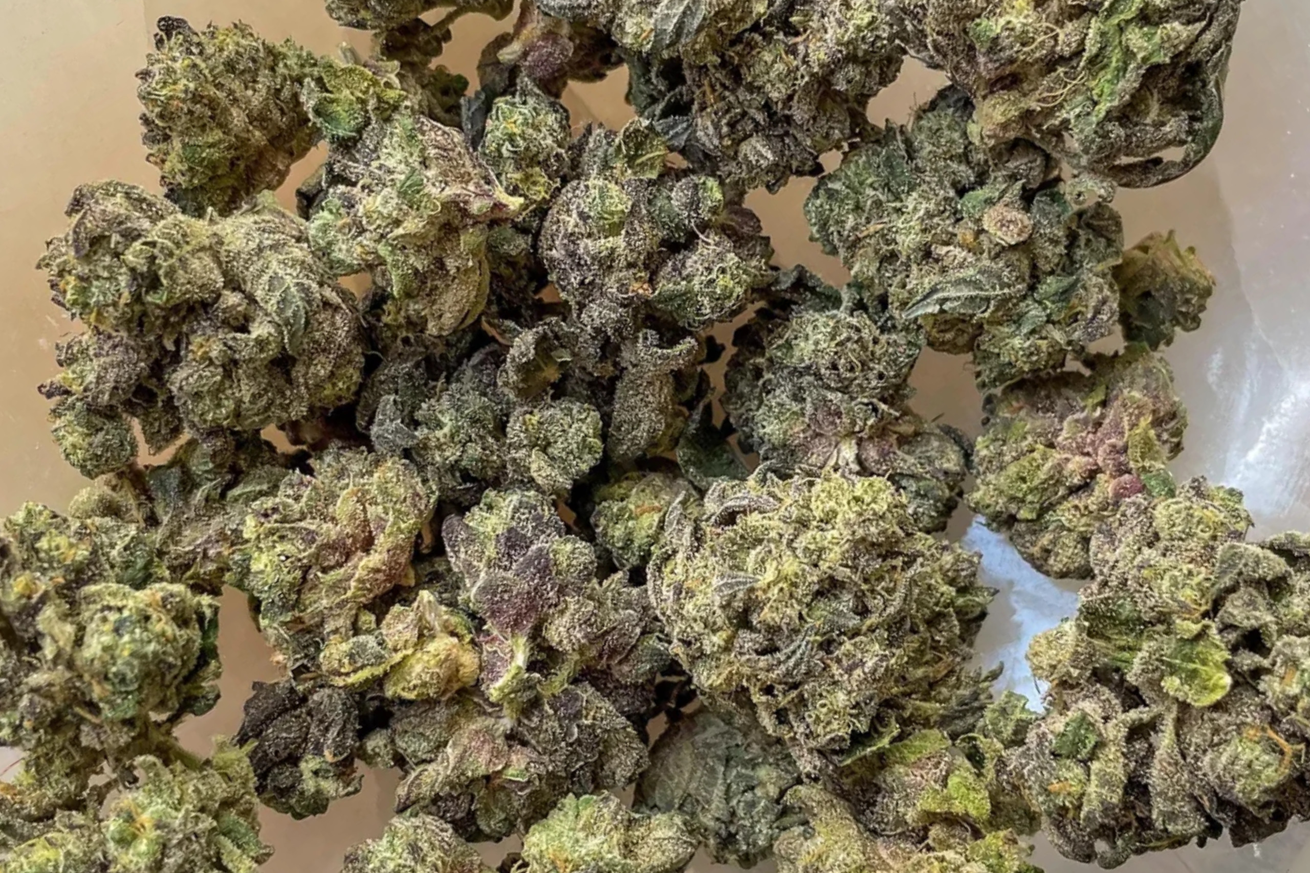 Sunset strain - featured image