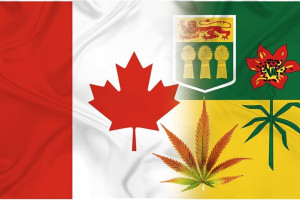 where to buy in SK - featured image