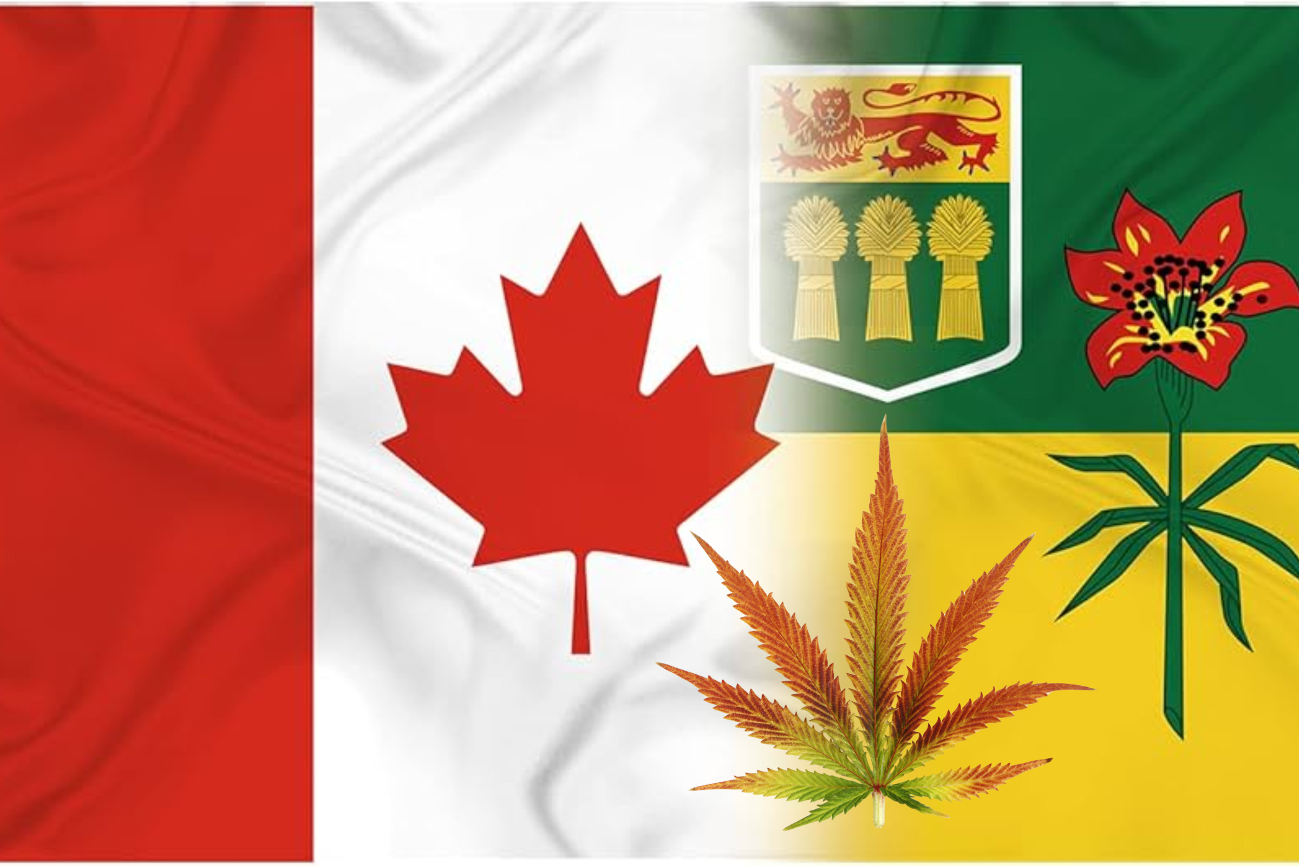 where to buy in SK - featured image