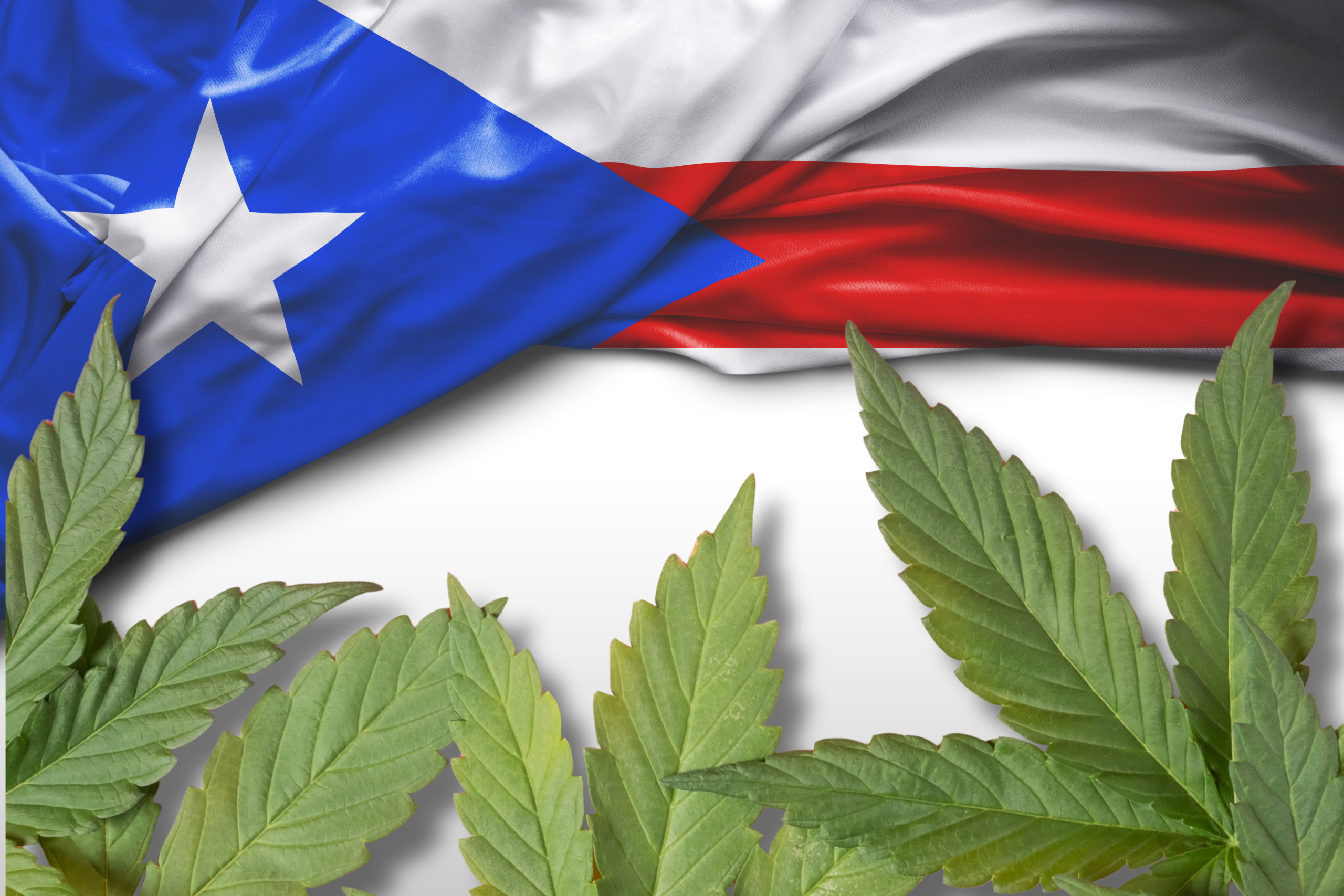 where to buy in Puerto Rico - featured image