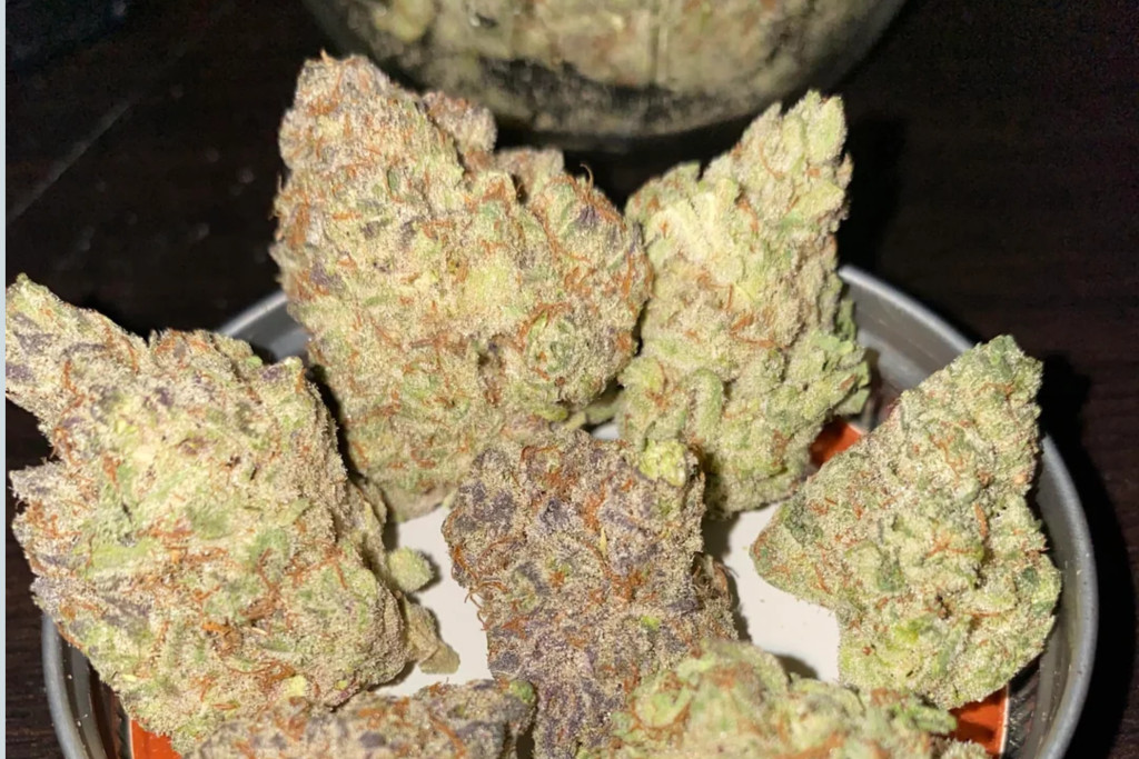 GMO Cookies - DE